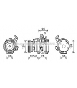 PRASCO - TOK631 - 