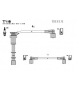 TESLA - T719B - T719B ПРОВОДА В/В К-Т