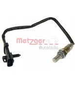 METZGER - 0893013 - 