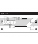 LUCAS - LUC4391 - 