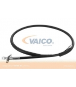 VAICO - V3030061 - 