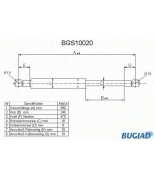 BUGIAD - BGS10020 - 