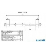 BUGIAD - BGS11034 - 