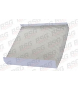 BSG - BSG30145006 - Фильтр вентиляции салона