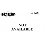 ICER - 180651 - 