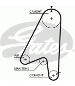 GATES - 5239 - РЕМ.ЗУБЧ. 146-8-1168*3/4