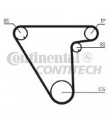 CONTITECH - CT833 - Ремень зубчатый CT833