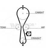 FLENNOR - 4343V - Ремень ГРМ CLIO (1991-1998)