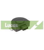 LUCAS - SEB262 - 