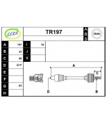 SERA - TR197 - 