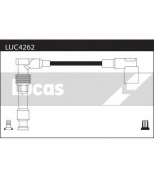 LUCAS - LUC4262 - 