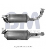 BM CATALYSTS - BM11108P - 