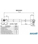 BUGIAD - BGS10891 - 