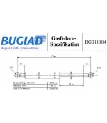 BUGIAD - BGS11184 - 