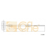 COFLE - 172800 - 