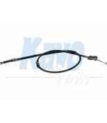 KAVO PARTS - BHC1544 - 