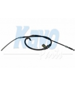 KAVO PARTS - BHC3105 - 