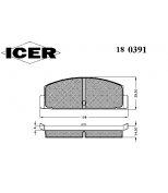 ICER - 180391 - 