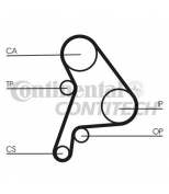 CONTITECH - CT1012 - Ремень зубчатый CT1012