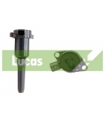 LUCAS - DMB411 - 