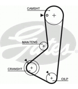 GATES - 5256XS - Ремень зубчатый 5256XS 122x24 (8597-15256)