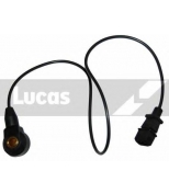 LUCAS - SEB1274 - 