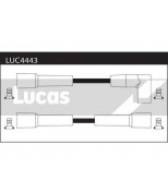 LUCAS - LUC4443 - 