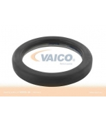 VAICO - V300143 - 