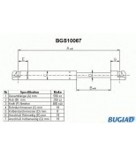 BUGIAD - BGS10067 - 