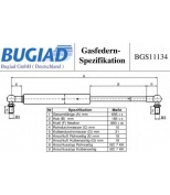 BUGIAD - BGS11134 - 