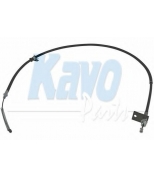 KAVO PARTS - BHC5547 - 