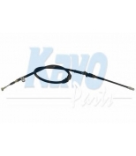 KAVO PARTS - BHC5558 - 