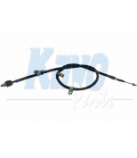 KAVO PARTS - BHC9076 - 