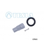 TESLA CP065 Cp065 наконечник катушки зажигания chrysler tesla