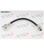 FTE - 290E666E01 - 