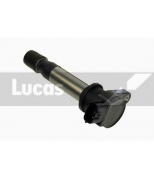 LUCAS - DMB819 - 