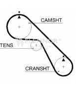 FLENNOR - 4429V - Ремень ГРМ HONDA
