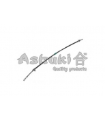 ASHUKI - HRK12589 - 