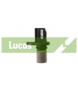 LUCAS - SEB1594 - 