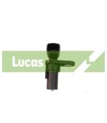 LUCAS - SEB1654 - 