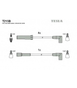 TESLA - T215B - 