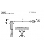 TESLA - T238P - T238P ПРОВОДА В/В К-Т