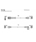 TESLA - T671B - Комплект проводов_