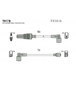 TESLA - T817B - T817B ПРОВОДА В/В К-Т