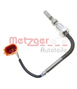 METZGER - 0894107 - 