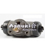 ASHUKI - 09698011 - 