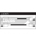 LUCAS - LUC4075 - 
