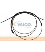 VAICO - V3130001 - 