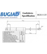 BUGIAD - BGS11125 - 