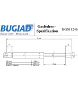 BUGIAD - BGS11246 - 